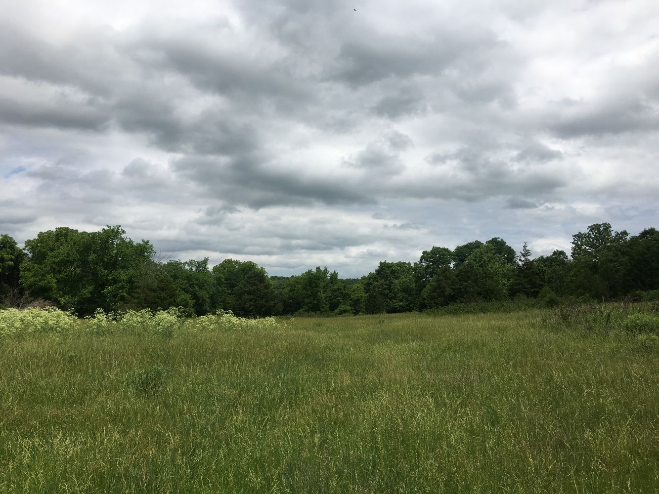 4897 & 4878 Norman Drive, Hartville, MO 65667